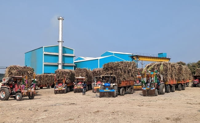 La producción de azúcar de India caerá un 7%, lo que podría limitar las exportaciones